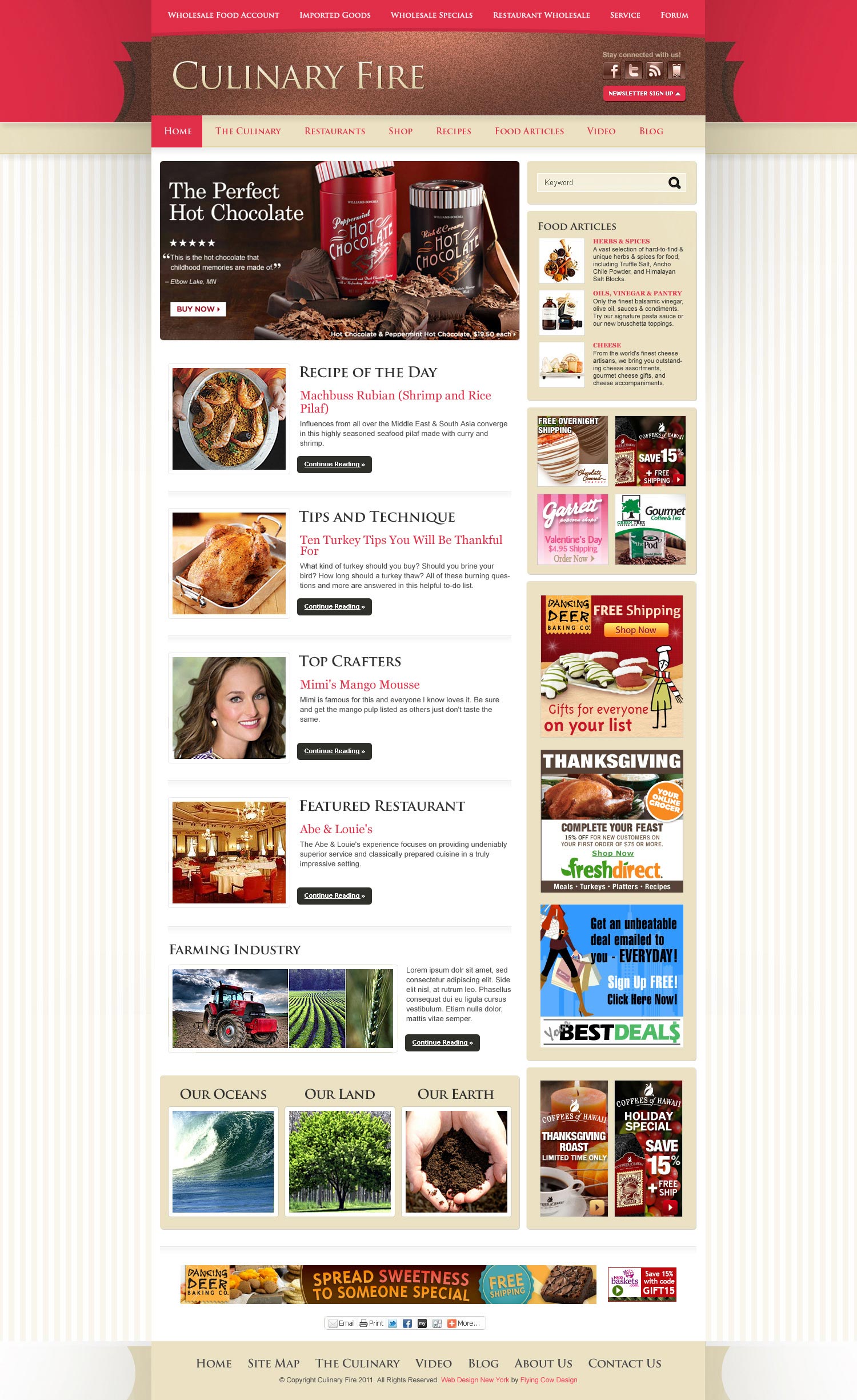 Website Design