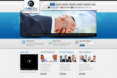 Website Design