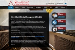 Website Design