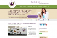 Branded Design & Development of a Responsive Website in WordPress